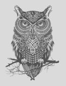 Wisdom I