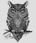 Mystic II